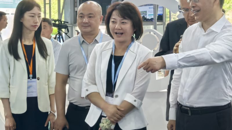 成都新能源汽车配件批发价格表解析：揭秘市场真相